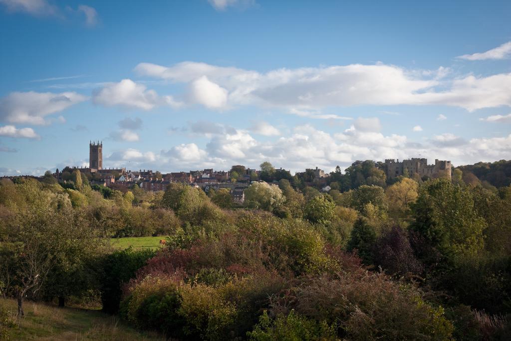 Whitfield House Ludlow Hotell Rom bilde