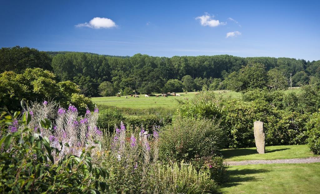 Whitfield House Ludlow Hotell Rom bilde